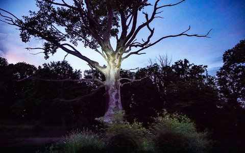 Irrlicht &copy;Peter Becker