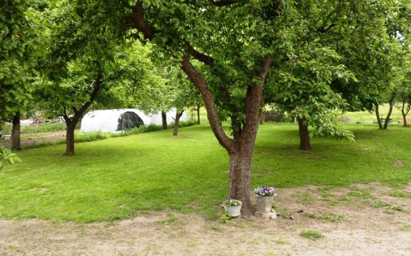 Au&szlig;enbereich Garten