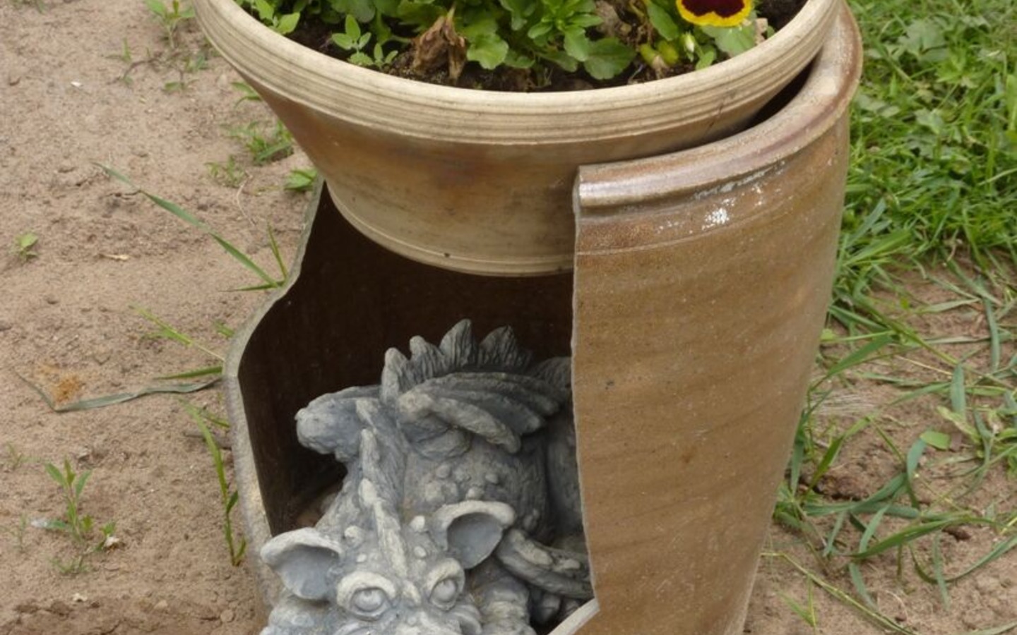 Plon/Drachen im Blumenkasten