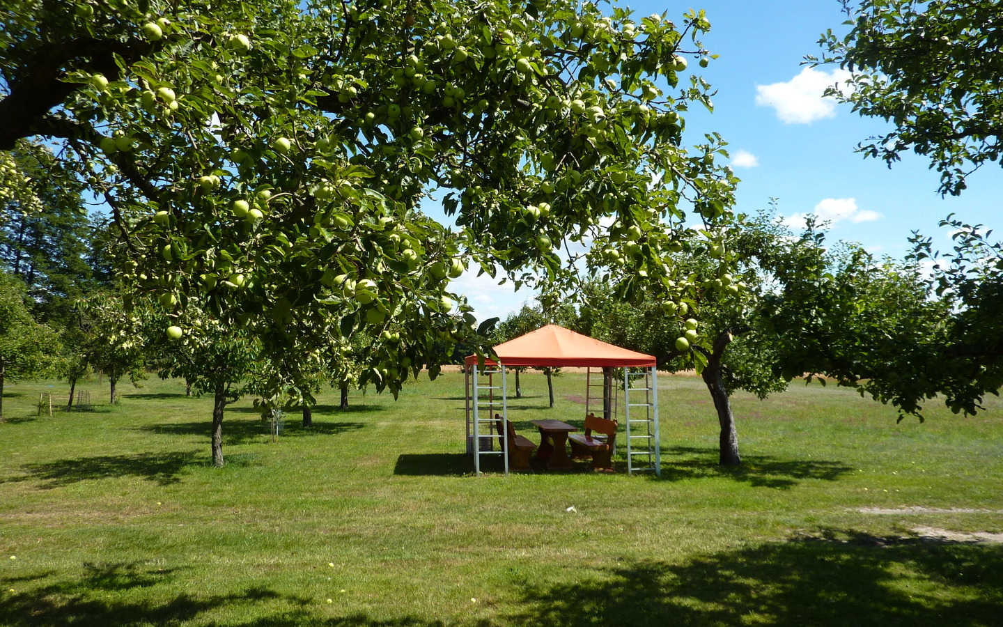 Garten mit Streuobstwiese