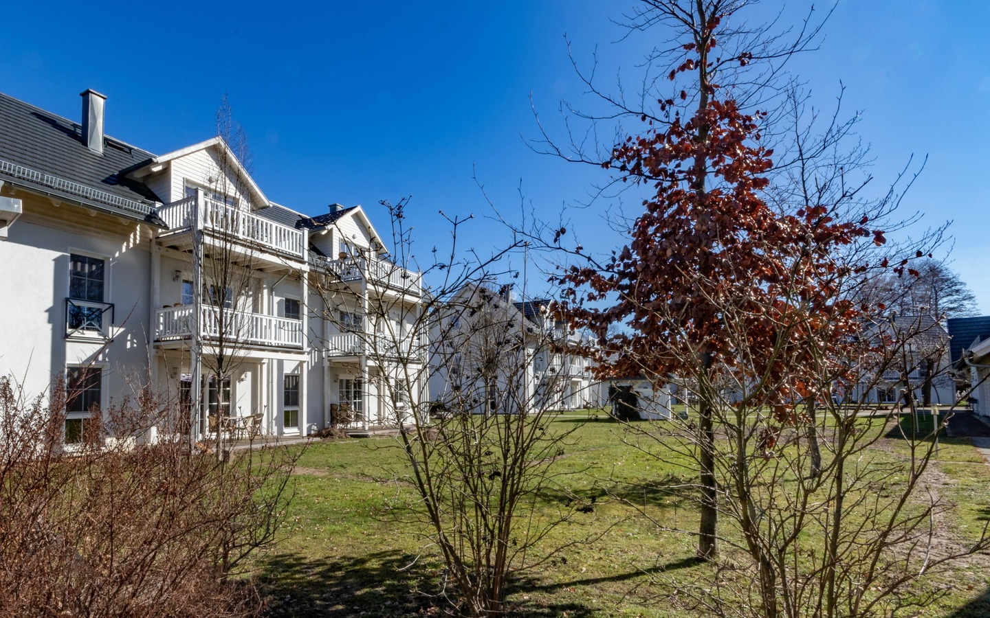 Warten auf den Fr&uuml;hling