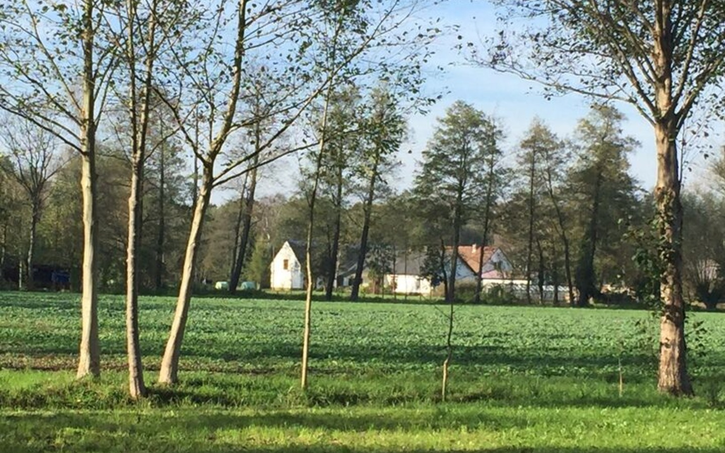 Au&szlig;enansicht Grundst&uuml;ck