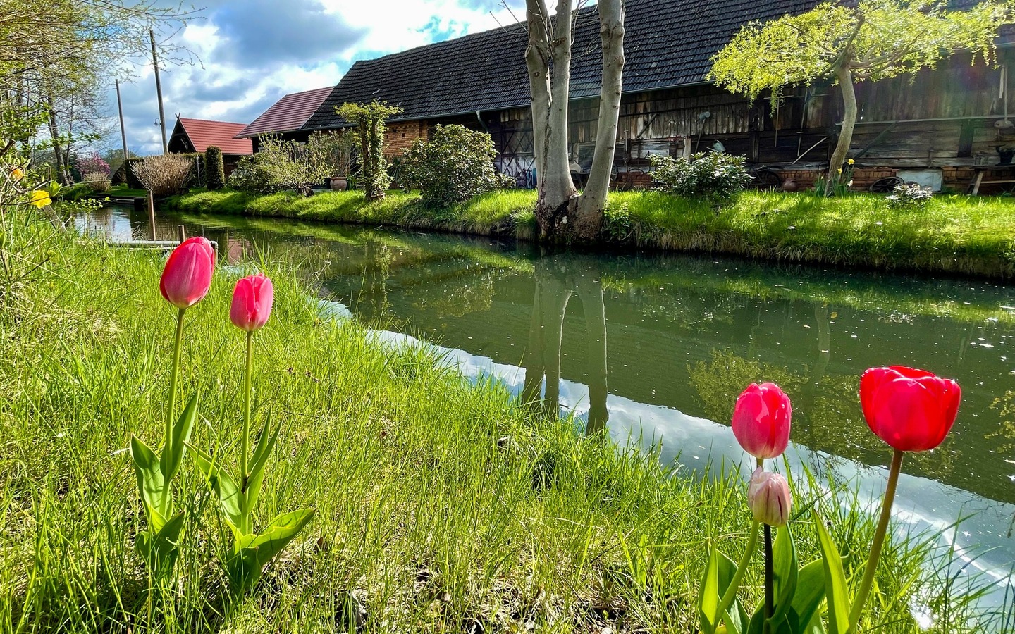 Am Scheidungsflei&szlig;