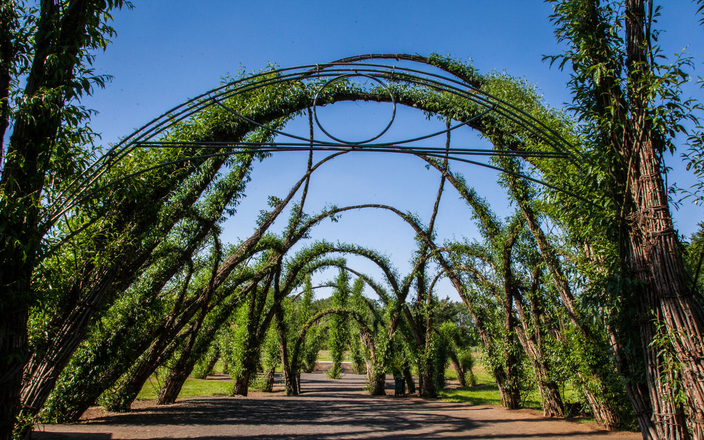 Stellplatz Weidenburg, Foto: Peter Becker, Lizenz: Amt Burg (Spreewald)