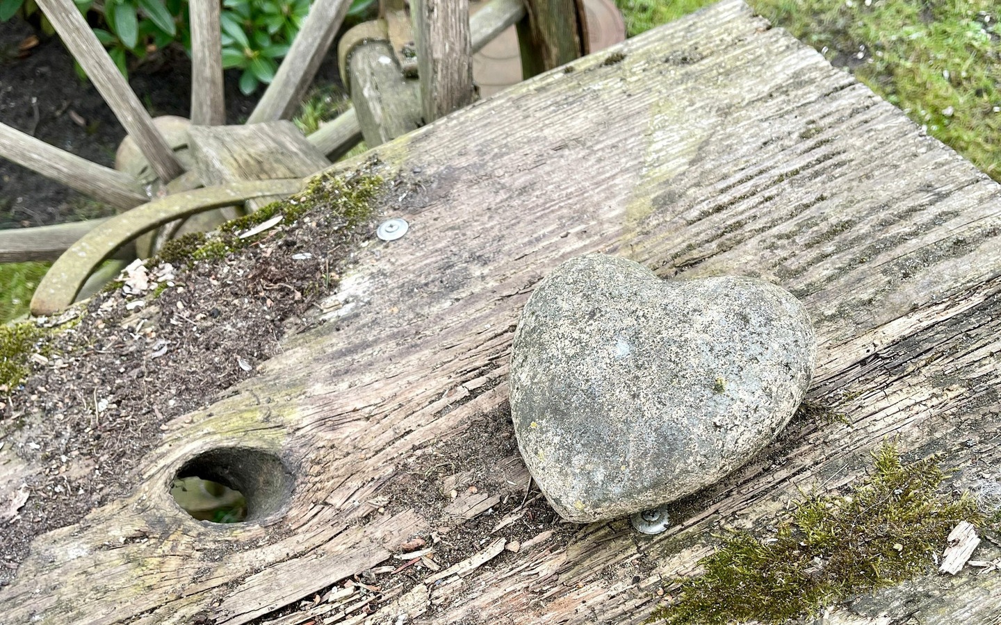 Gr&uuml;ner Waldd...mit Herz