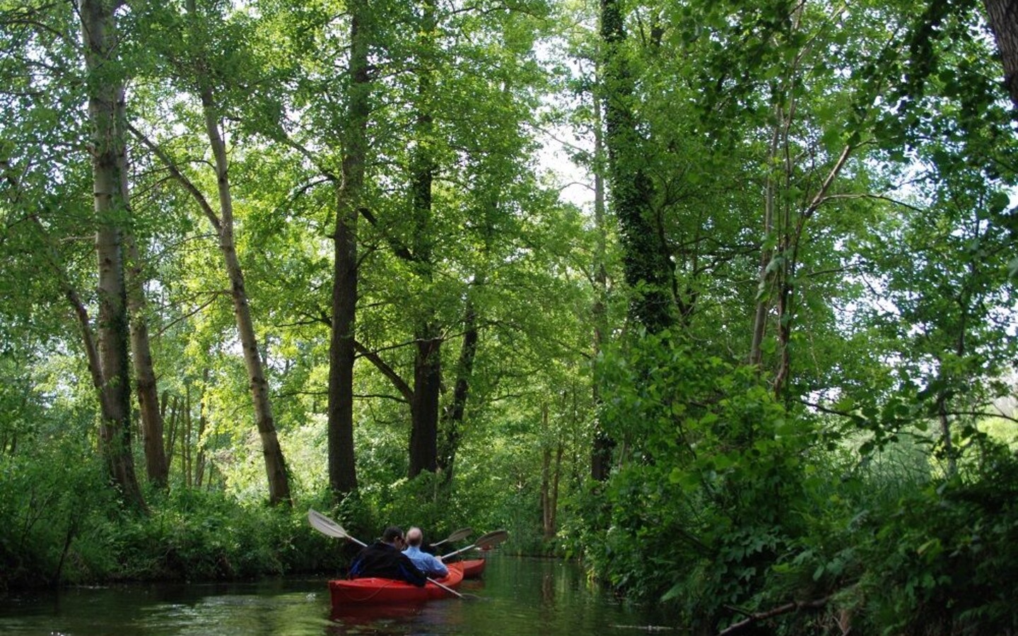 Paddelentdeckertour, Foto: Kleiner Spreewaldhafen, Lizenz: Kleiner Spreewaldhafen