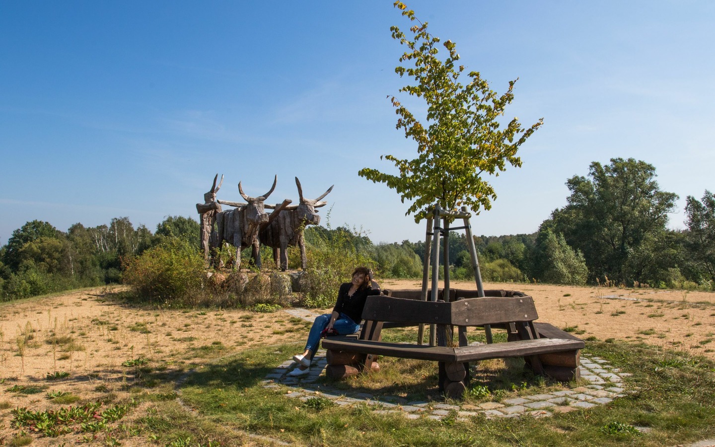 Teufelsberg Dissen, Foto: Peter Becker, Lizenz: Amt Burg (Spreewald)
