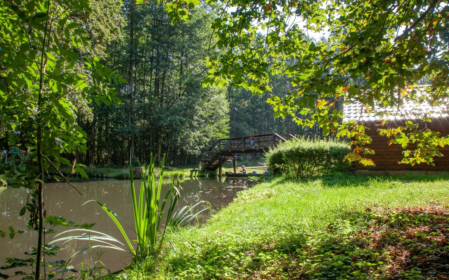 Kahnfahrten im Sommer , Foto: Peter Becker, Lizenz: Amt Burg (Spreewald)