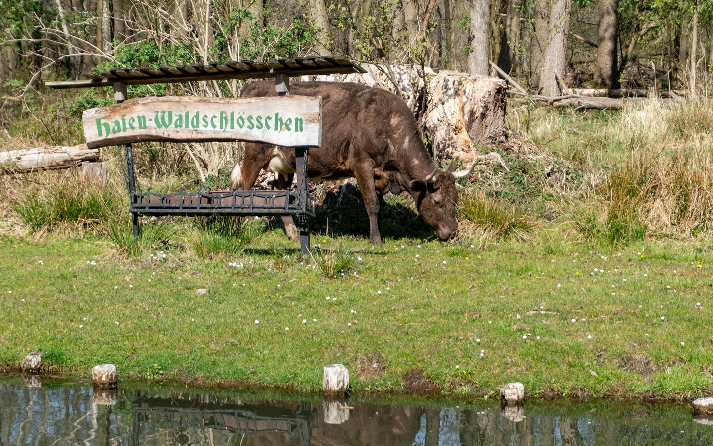 Ufer am Hafen Waldschl&ouml;sschen, Foto: Peter Becker, Lizenz: Amt Burg (Spreewald)