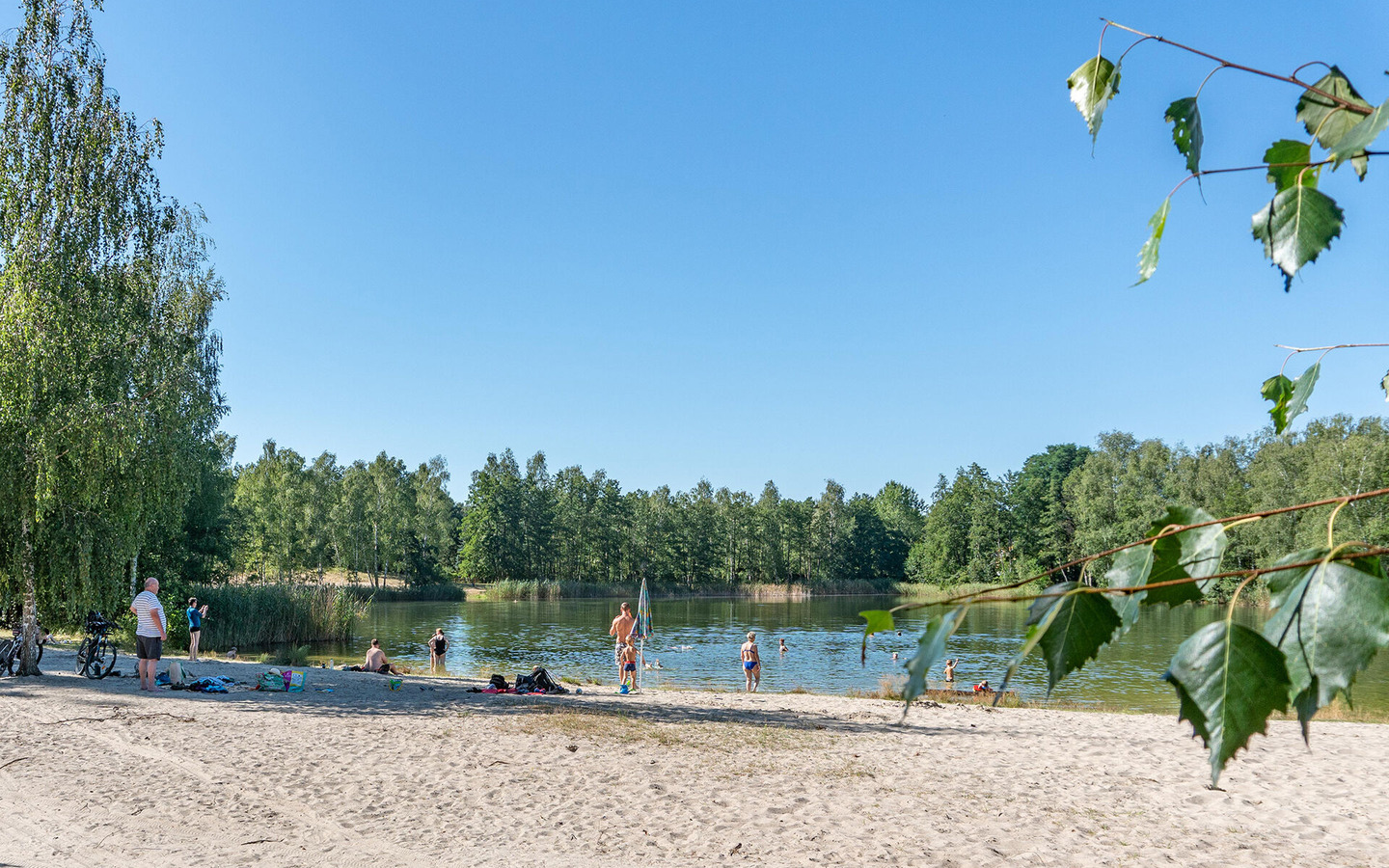 Willischzabadesee , Foto: Peter Becker, Lizenz: Amt Burg (Spreewald)