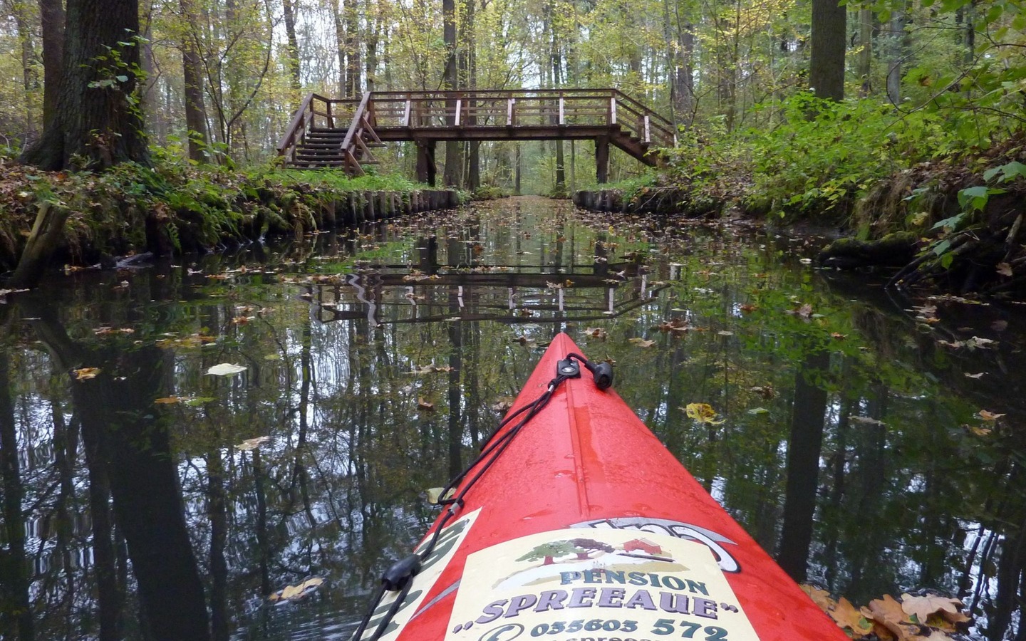 Spreewald Pension Spreeaue Padeln im Hochwald, Foto: Pension Spreeaue, Lizenz: Amt Burg (Spreewald)