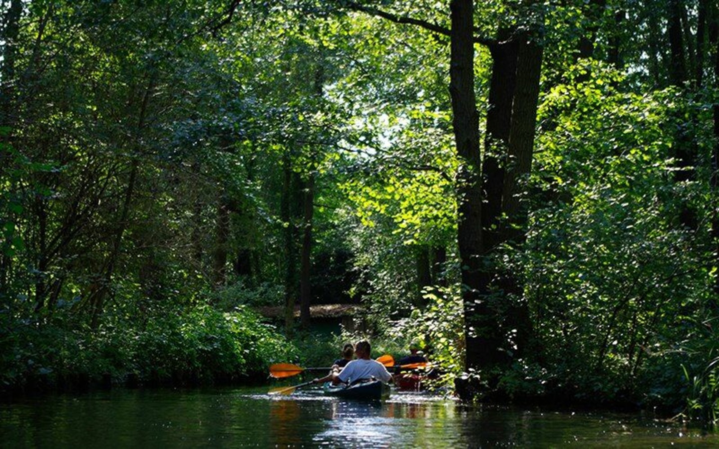 Kanutour Burger Fischpass-Tour, Foto: www.speewald-info.de, Lizenz: Amt Burg (Spreewald)