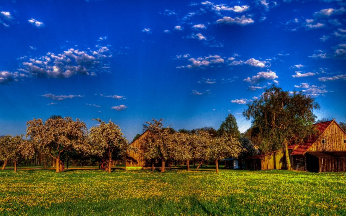 Streuobstwiese in Burg (Spreewald), Foto: Peter Becker, Lizenz: Amt Burg (Spreewald)
