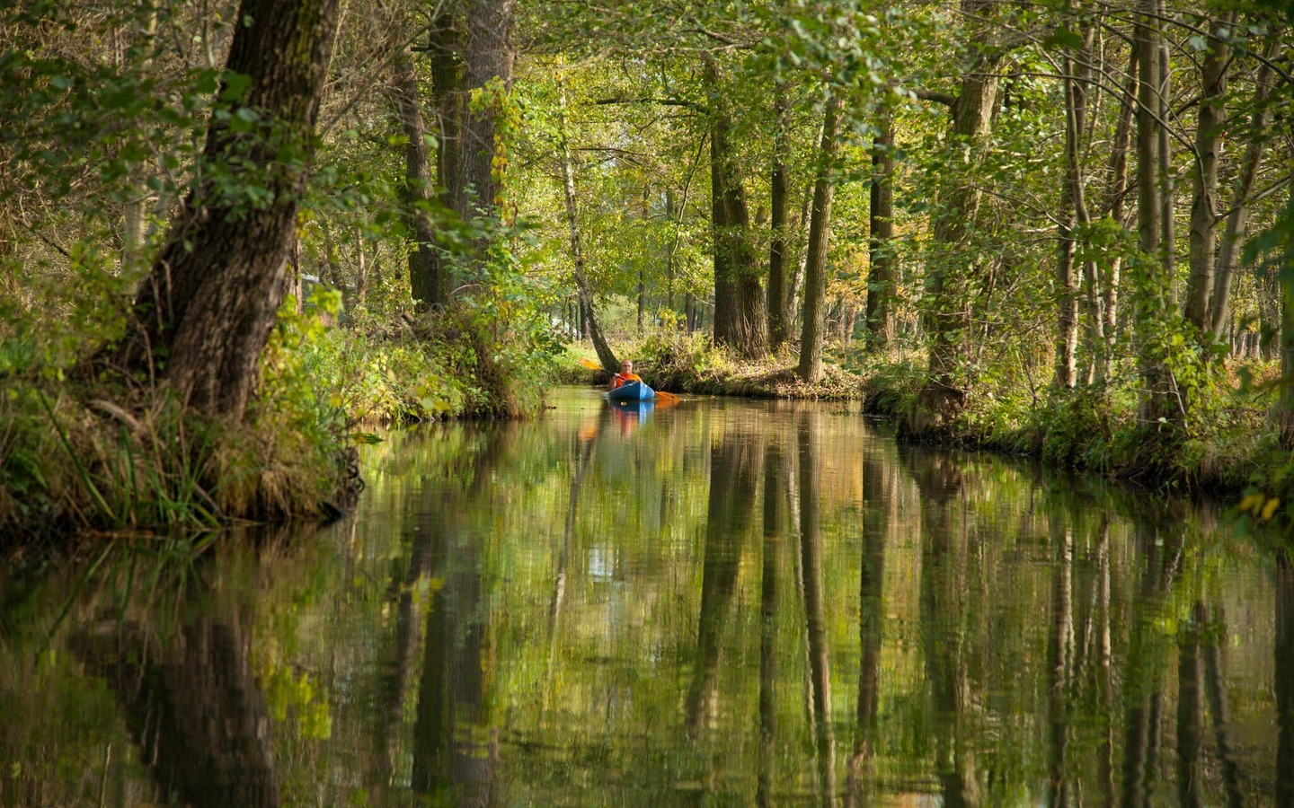 Paddeln im Spreewald, Foto: Peter Becker, Lizenz: Amt Burg (Spreewald)