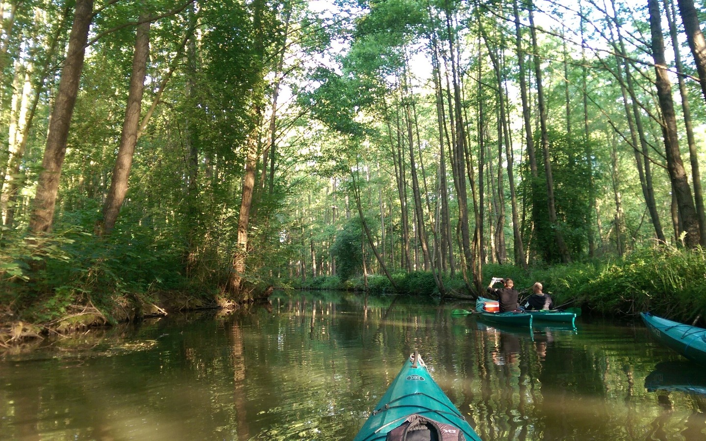 Paddeln im Spreewald, Foto: Spreehafen Burg, Lizenz: Amt Burg (Spreewald)