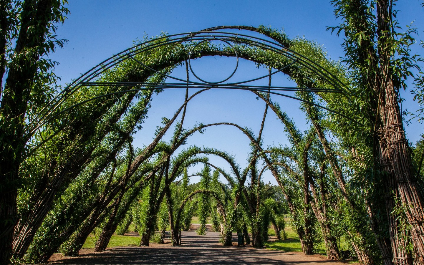 Weidenburg Arena Salix, Burg (Spreewald), Foto: Peter Becker, Lizenz: Amt Burg (Spreewald)