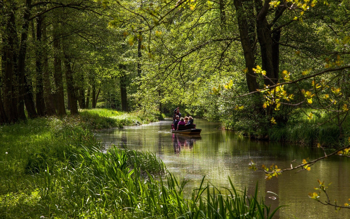 Im Spreewald, Foto: TMB-Fotoarchiv/Peter Becker, Lizenz: Amt Burg (Spreewald)