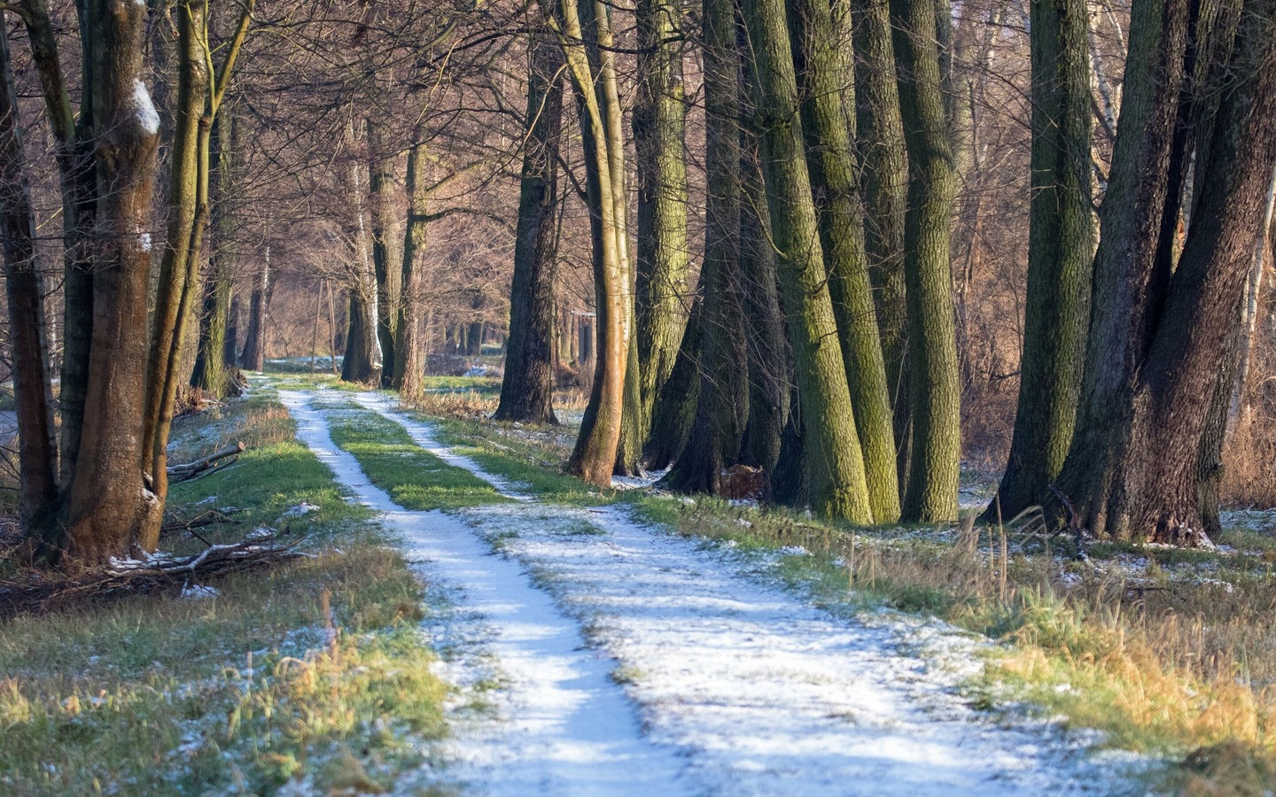 Wanderweg Winter, Foto: Peter Becker, Lizenz: Amt Burg (Spreewald)