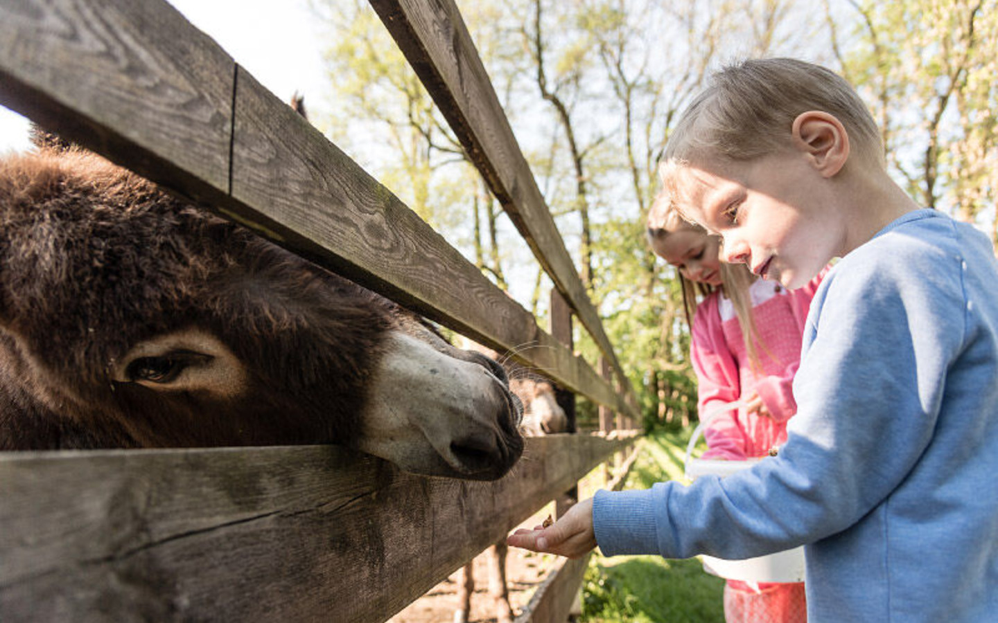 Streichelzoo, Foto: Streichelzoo Landhotel Burg, Lizenz: Amt Burg (Spreewald)