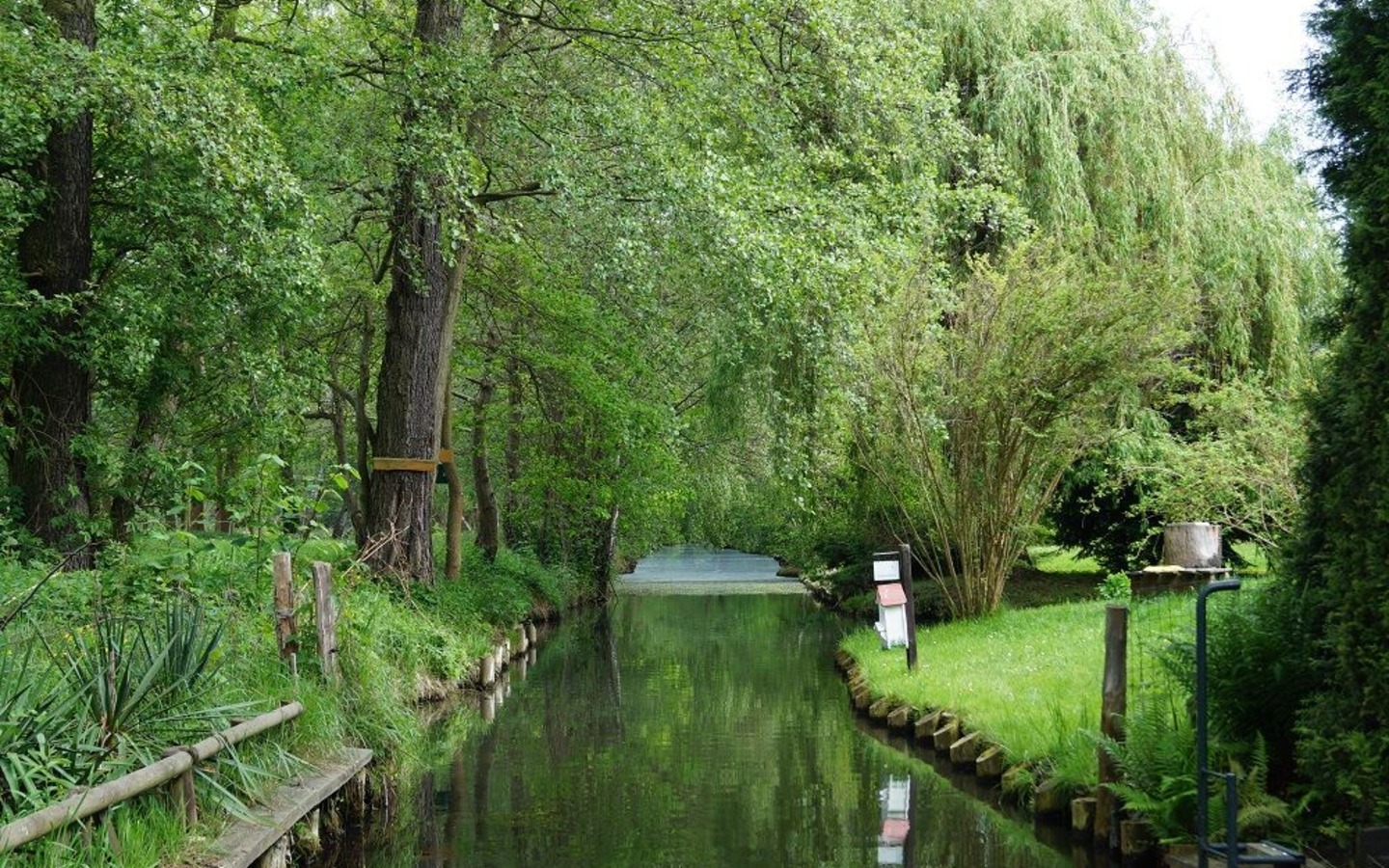 Unber&uuml;hrte Natur, Foto: Kleiner Spreewaldhafen, Lizenz: Amt Burg (Spreewald)
