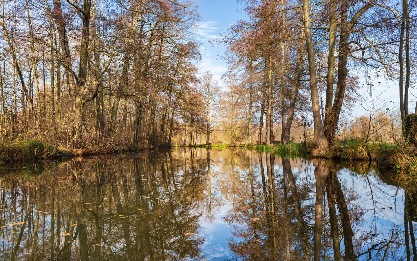 Spreewaldflie&szlig;, Foto: TMB-Fotoarchiv/Steffen Lehmann, Lizenz: Amt Burg (Spreewald)