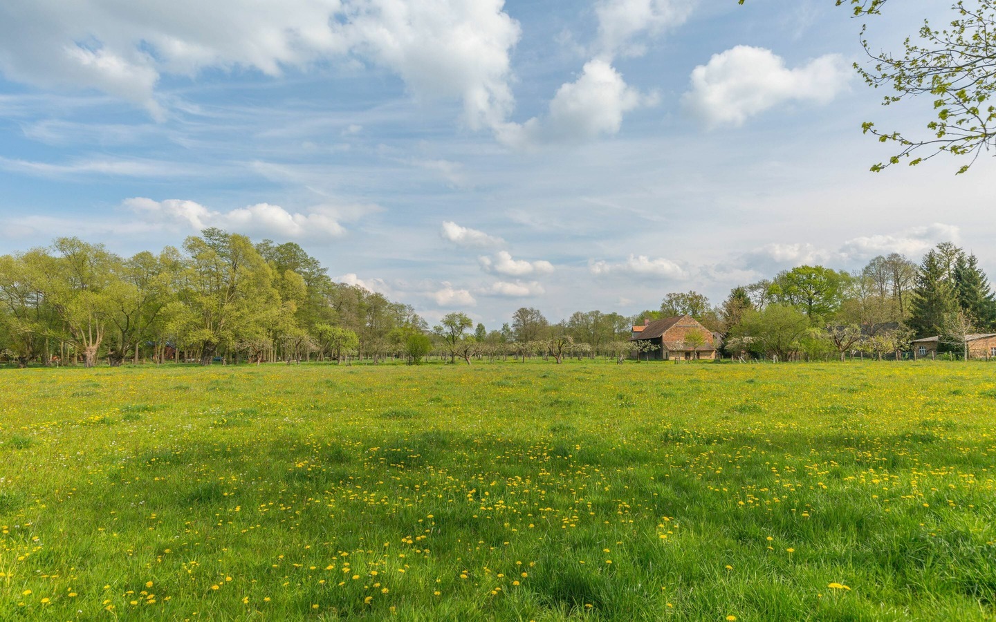 Spreewald, Foto: TMB-Fotoarchiv/Steffen Lehmann, Lizenz: Amt Burg (Spreewald)