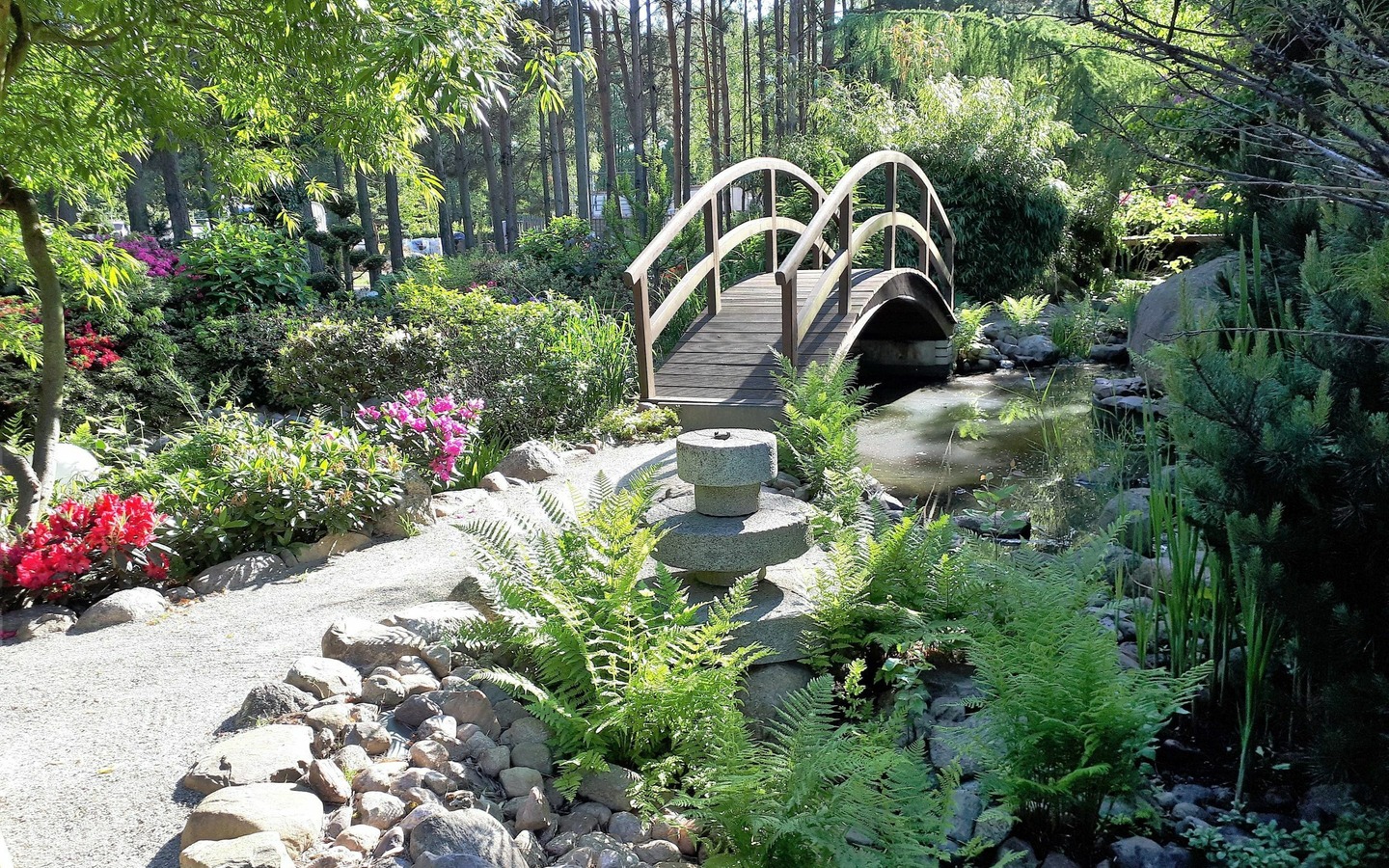 Koigarten Willischza, Foto: Koigarten, Lizenz: Amt Burg (Spreewald)