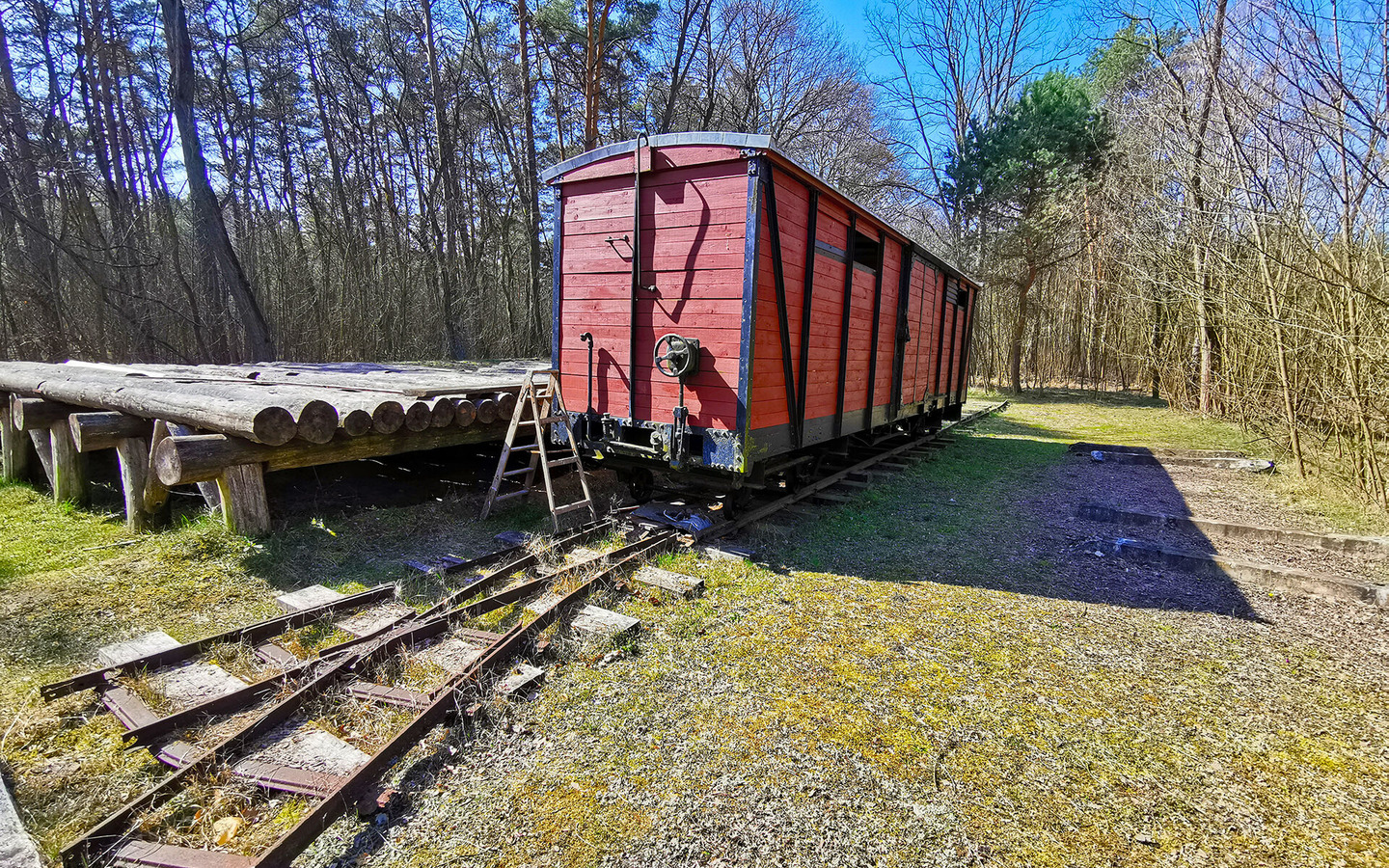 Rampe 6 Lieberoser Heide, Foto: Marie Wanta, Lizenz: Amt Burg (Spreewald)