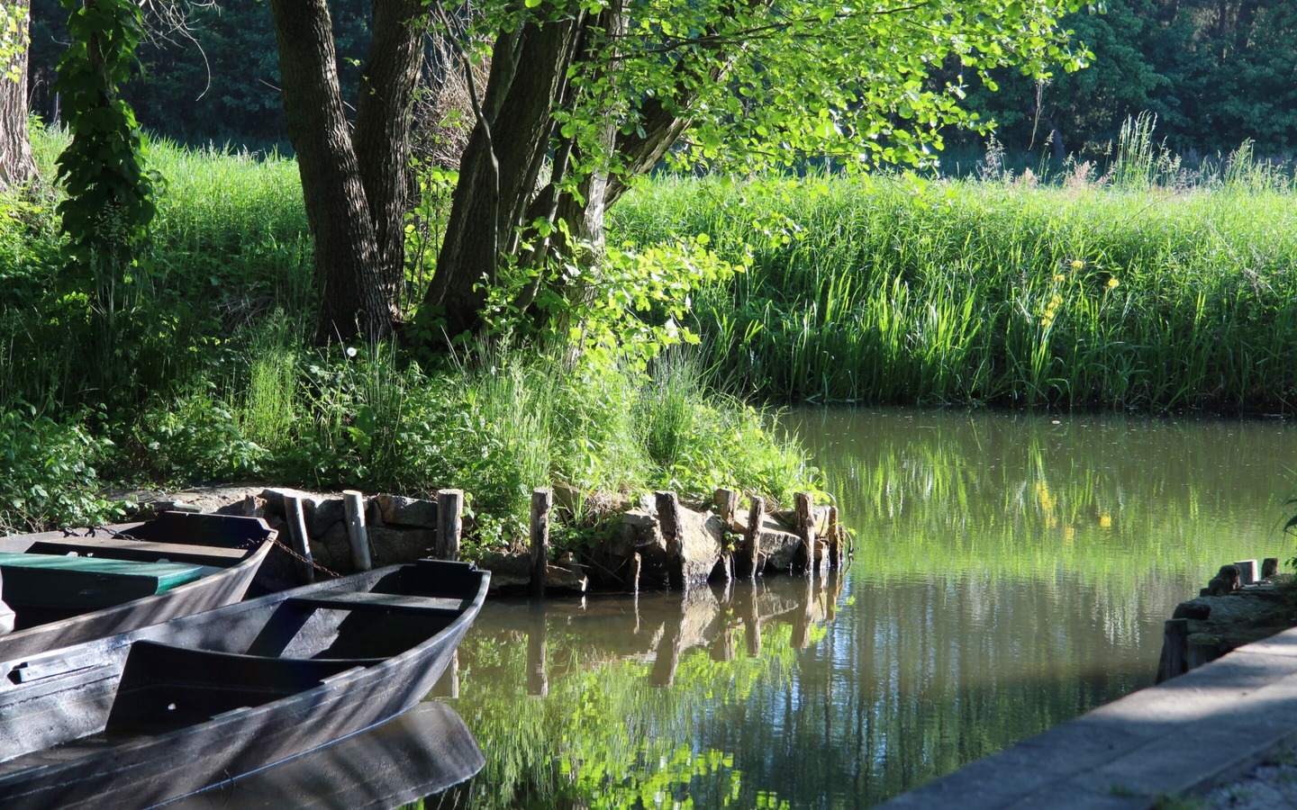 Kneipp- und ErlebnisCamping "An den Spreewaldflie&szlig;en" - Einstieg f&uuml;r Kahn- und Paddelboottouren