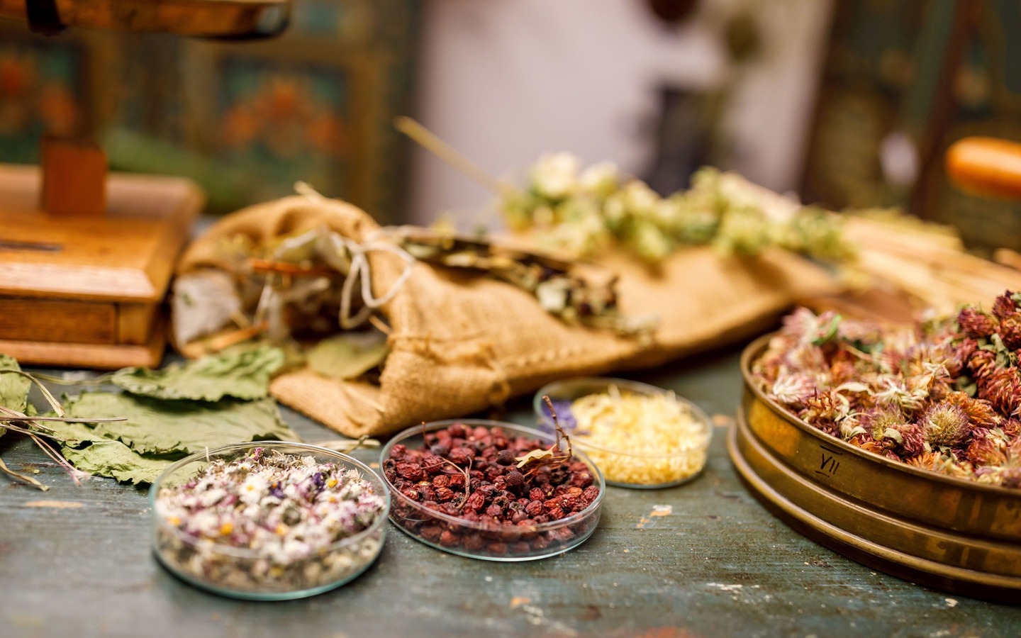 Brandenburgisches Apothekenmuseum in der L&ouml;wen-Apotheke Cottbus, Foto: Andreas Franke, Lizenz: CMT Cottbus