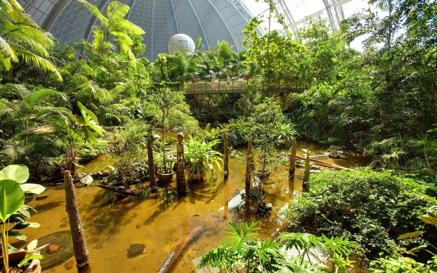 Mangrovenwald im Tropical Islands, Foto: ., Lizenz: Tropical Islands