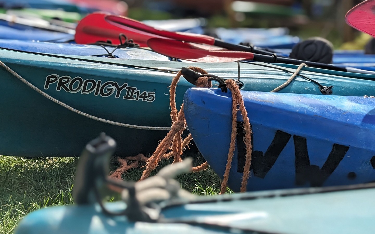 Paddelboote, Foto: Steffen Emmerling, Lizenz: Wilde Wiese