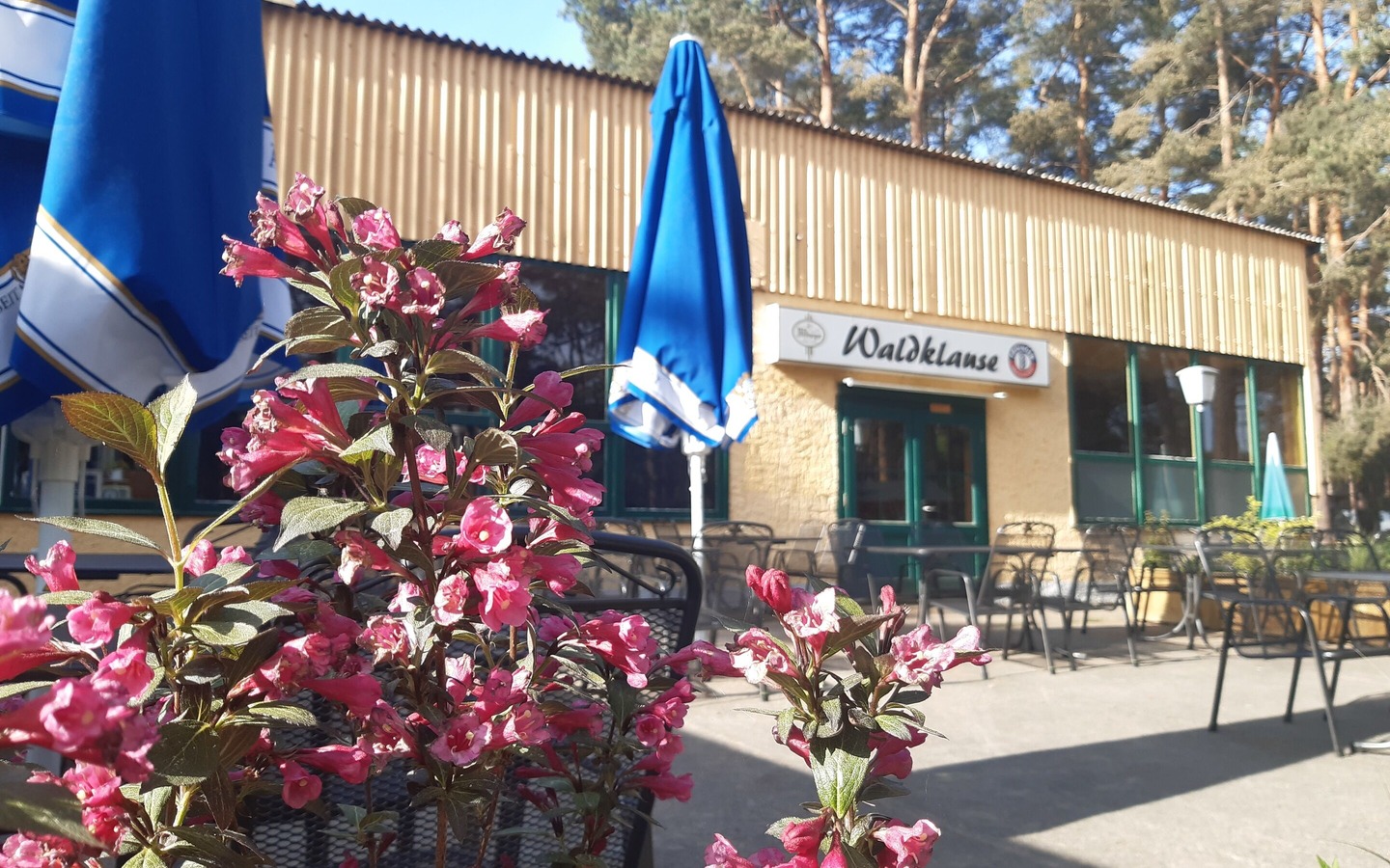 Waldklause, Foto: TEG mbH