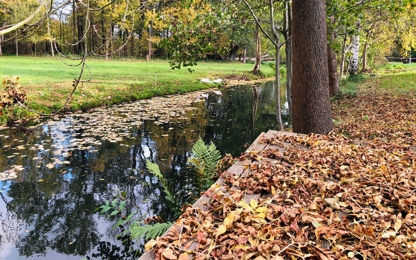 Idyllische Lage am Spreewaldflie&szlig;, Foto: Johanna Mehlisch-Bosch, Burg (Spreewald), Lizenz: Fontanehof