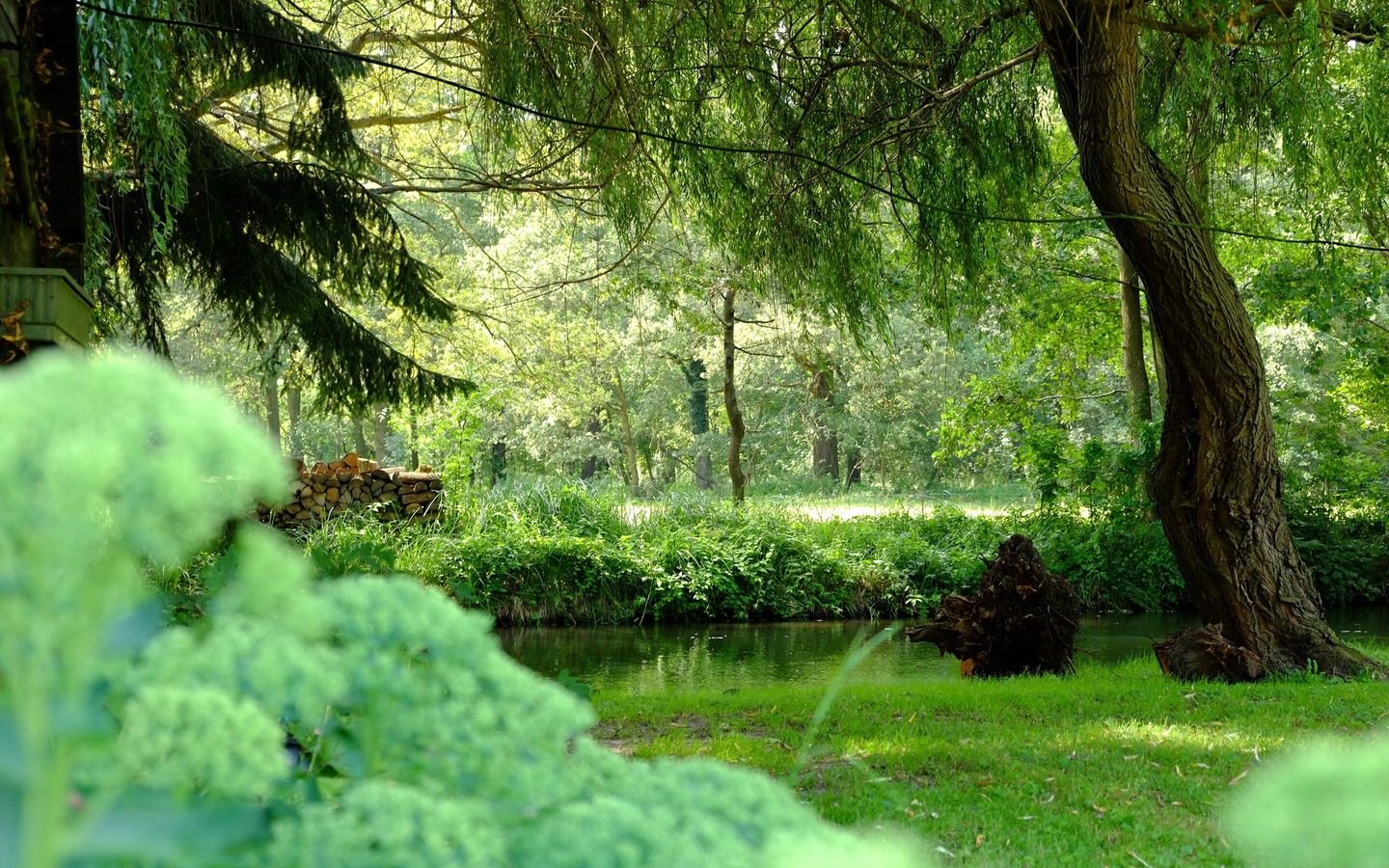 Spreewaldflie&szlig;, Foto: Jacqueline R&ouml;ttel , Lizenz: Stara Broznja