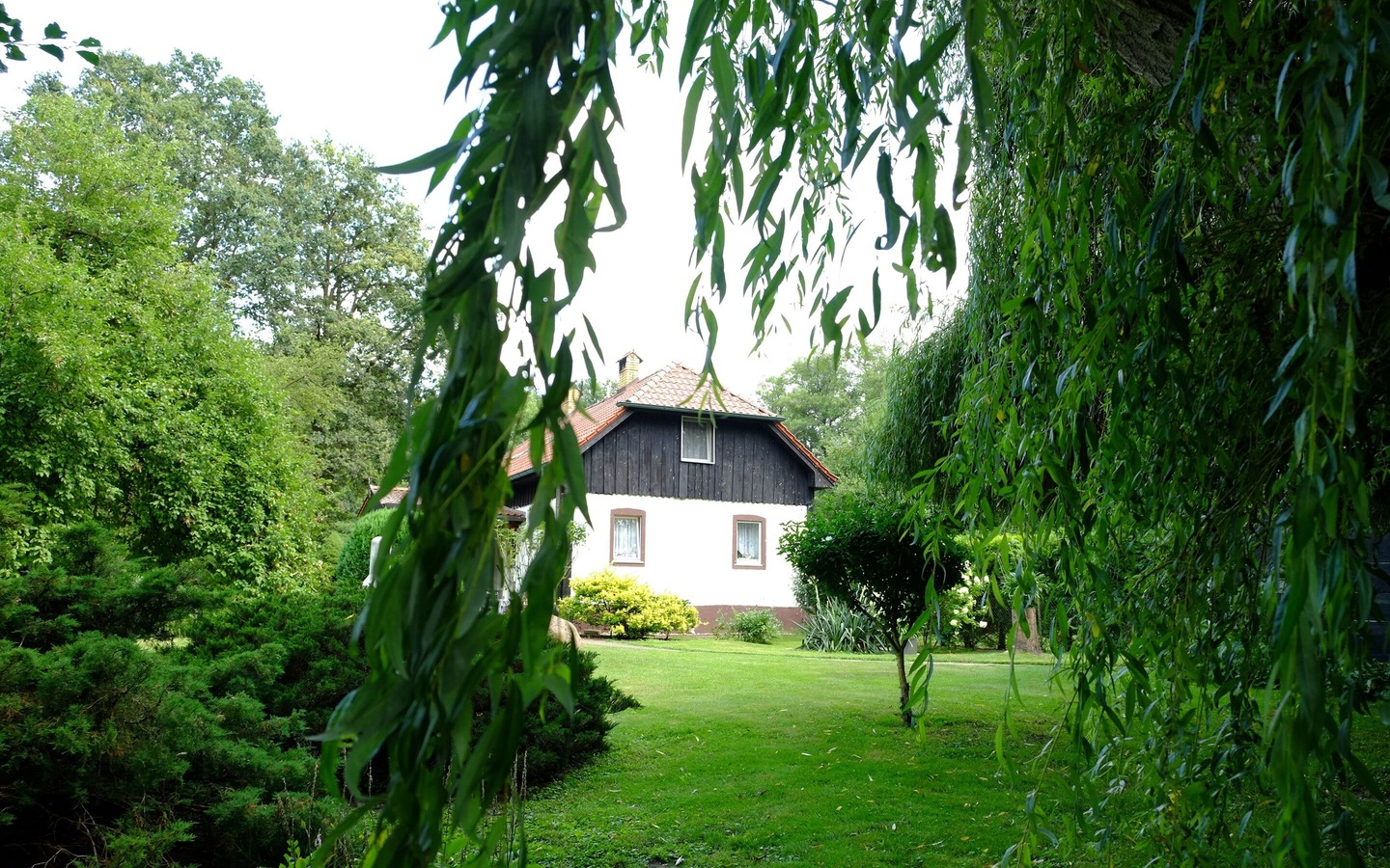 Garten, Foto: Jacqueline R&ouml;ttel , Lizenz: Stara Broznja