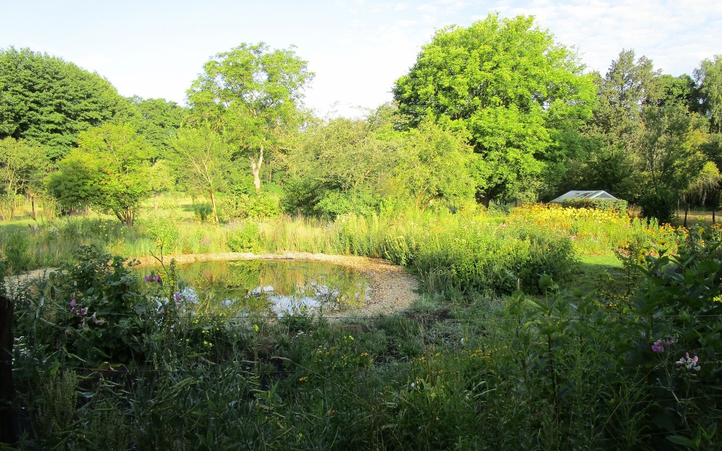 Teich im Kr&auml;utergarten der Spreewald Kr&auml;uterey Burg, Foto: I. R&uuml;ffreck (BR Spreewald), Lizenz: LfU Brandenburg