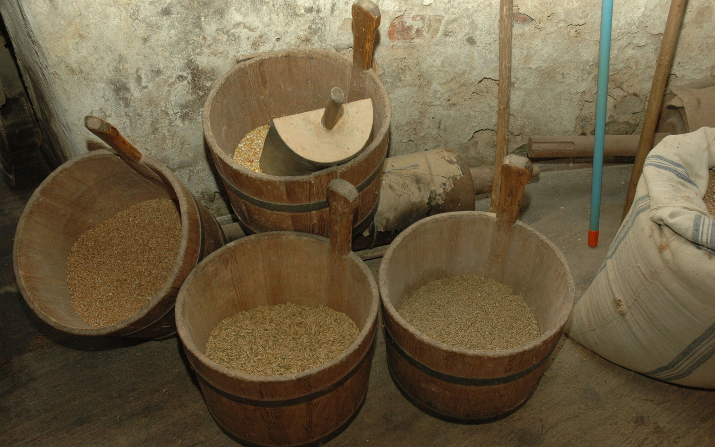 Holl&auml;nderm&uuml;hle Turnow, Foto: Amt Peitz, Foto: S. Dubaru, Lizenz: S. Dubrau