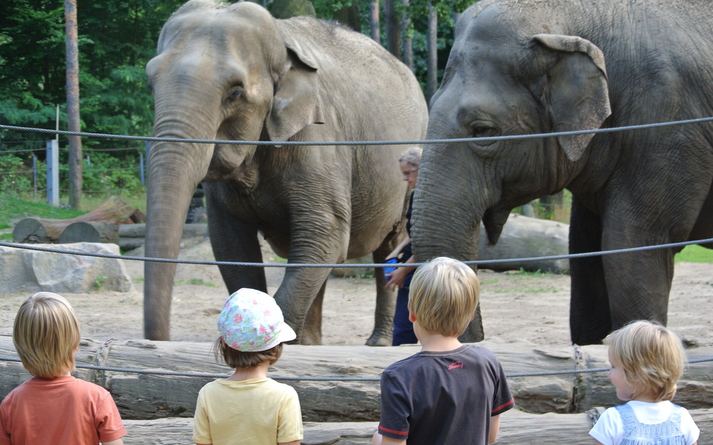 Elefanten Karla und Sundali, Foto: Tierpark Cottbus