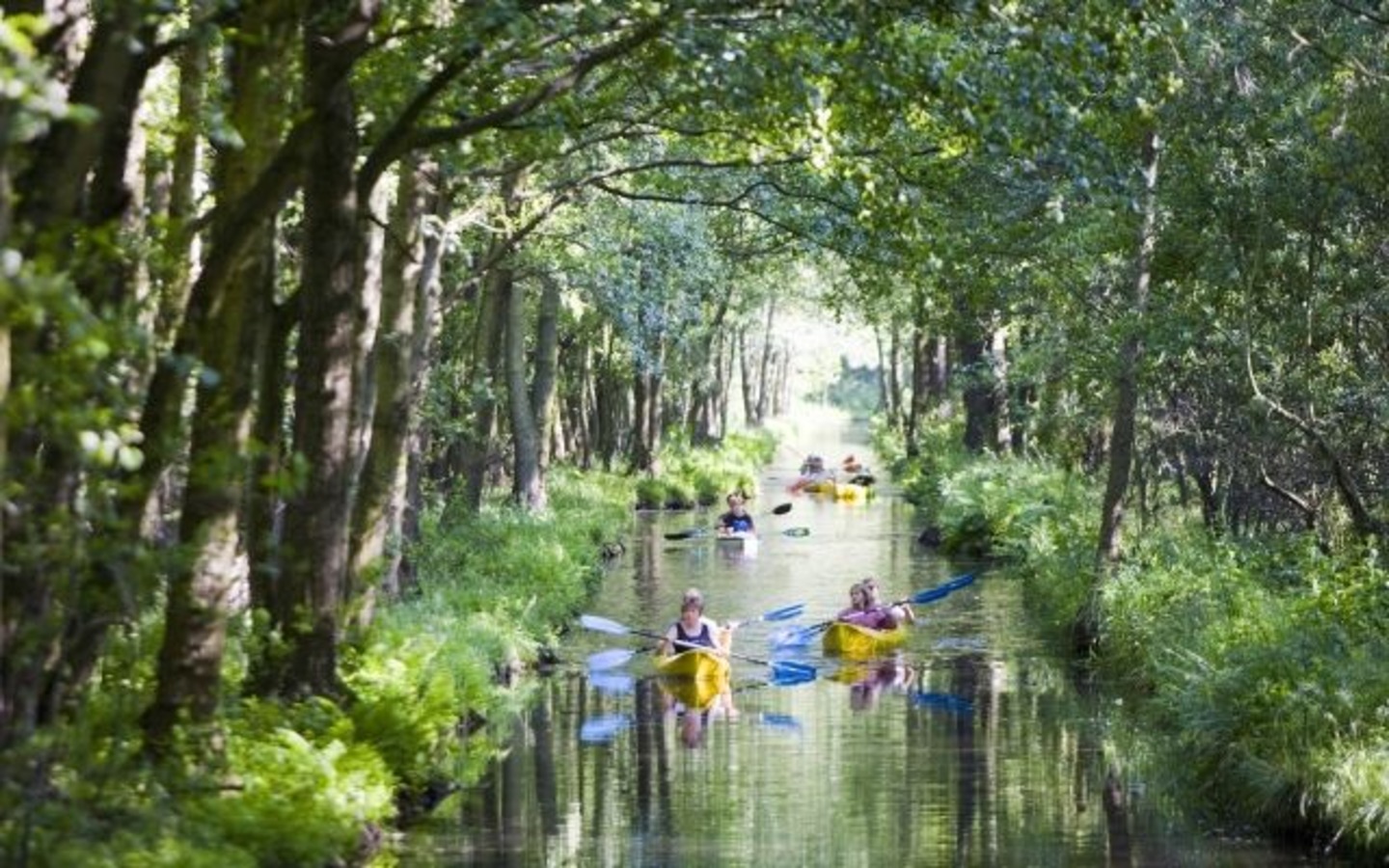 Wasserlabyrinth Spreewald, Foto: TMB-Fotoarchiv/Hahn