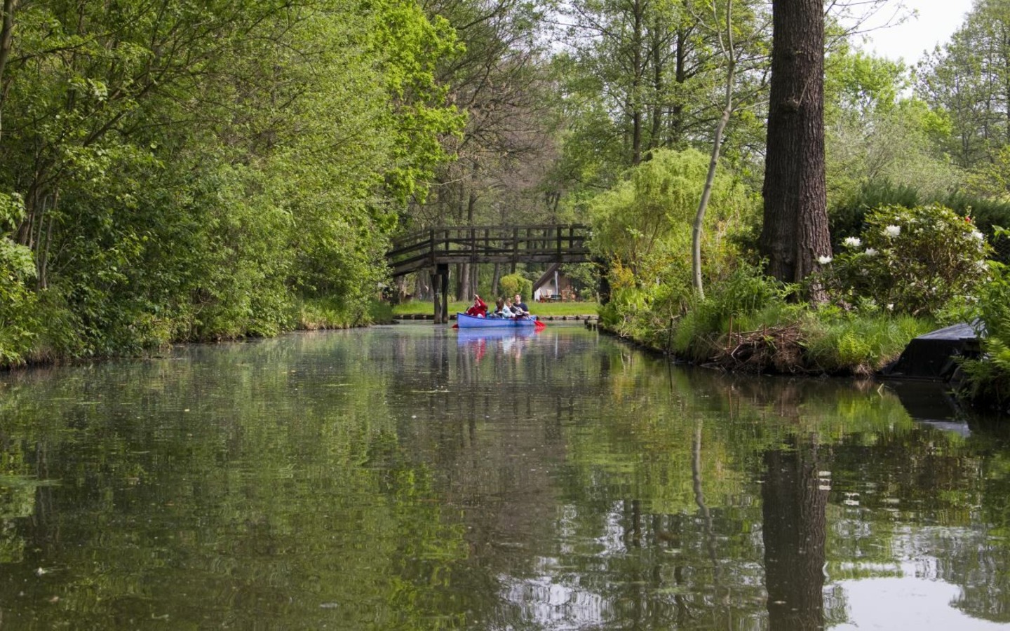 Kanutour im Spreewald, Foto: TMB-Fotoarchiv/Peter Becker