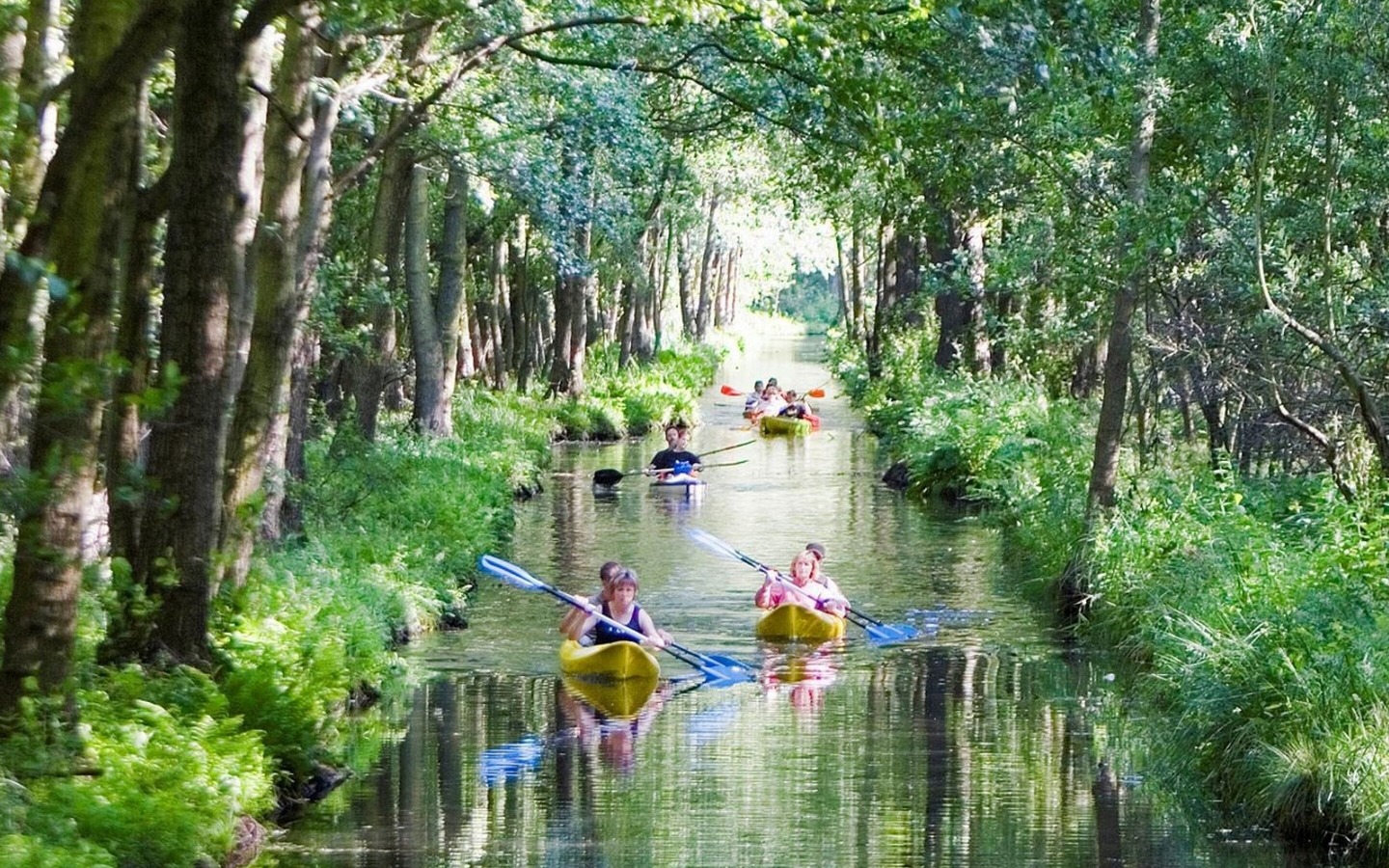 Kanutour im Spreewald, Foto: TMB-Fotoarchiv/Paul Hahn